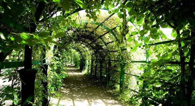 Quelle est la différence entre la pergola en aluminium et la pergola bioclimatique ?